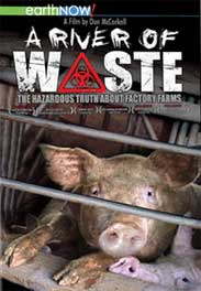 A RIVER OF WASTE: The Hazardous Truth About Factory Farms