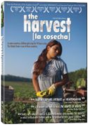 The Harvest