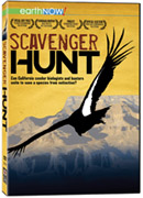 Scavenger Hunt - DVD
