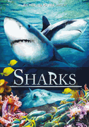 SHARKS - DVD
